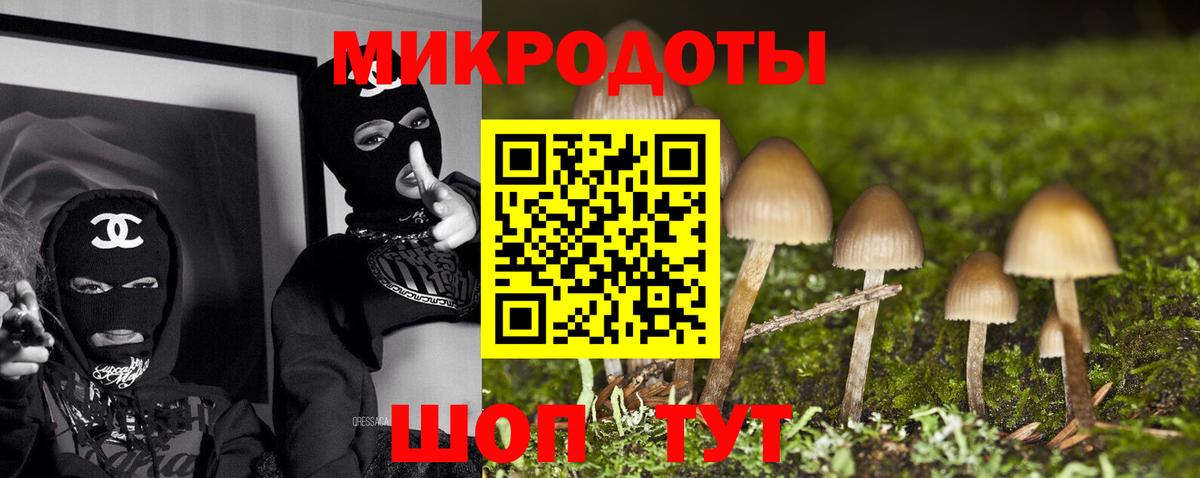 Галлюциногенные грибы Psilocybine cubensis Еманжелинск